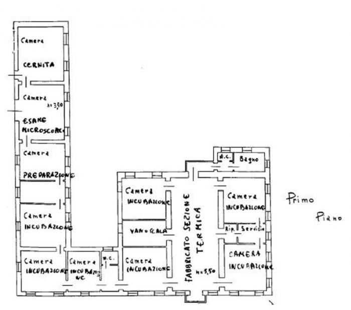 Vittorio Veneto (TV) – ex Bachificio Pianta principale