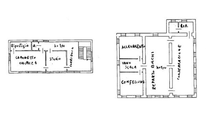 Vittorio Veneto (TV) – ex Bachificio Pianta principale