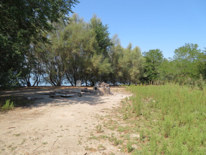 Isola di Poveglia (VE) – Area verde