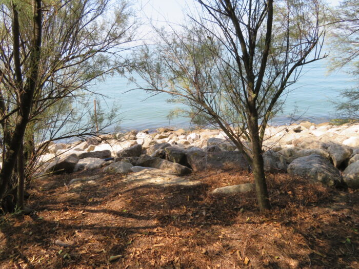Isola di Poveglia (VE) – Area verde