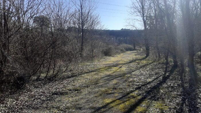 Roma Appia Antica (RM) – Casal Rotondo