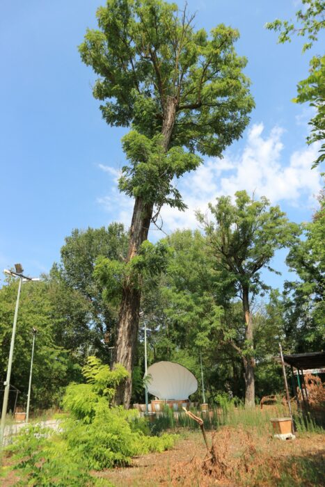 Pizzighettone (CR) – Ex deposito militare