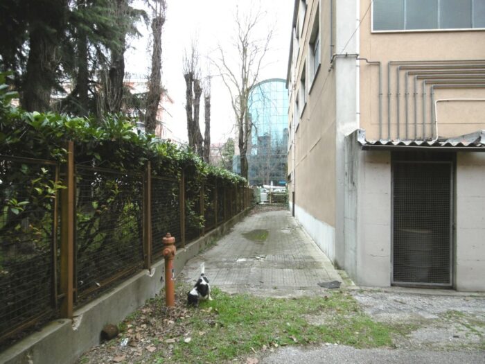 VENEZIA – EX PALAZZINA DELLA CHIMICA DELL’I.T.I.S. ‘ANTONIO PACINOTTI’