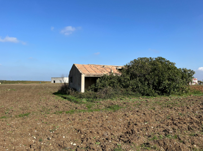 Poggio Imperiale (FG) – Conservificio “Passo del Compare”