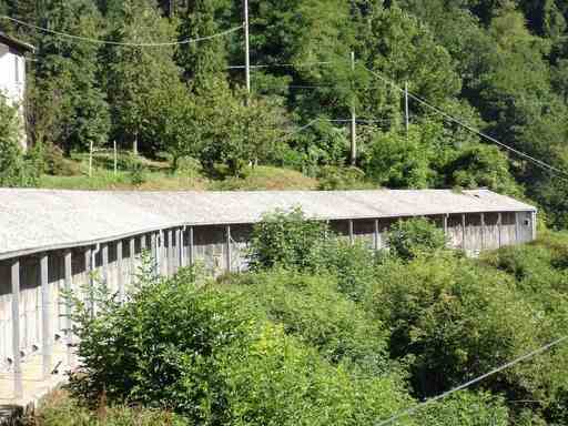 VARESE LIGURE (SP) – CASALETTI EX AZIENDA AGRICOLA