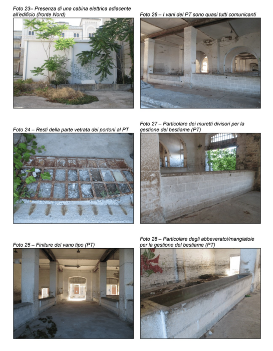 TRIESTE (TS) – HANGAR 24 DI PORTO VIVO