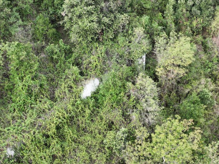 Genova (GE) – Ex Deposito del Fulmicotone