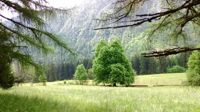 Borno (BS) – Ex Sanatorio di Croce di Salven