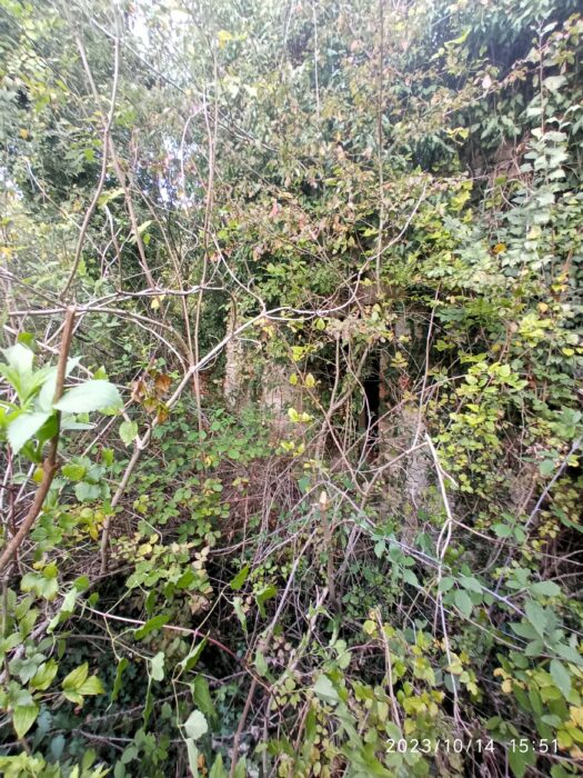 Gualdo Cattaneo (PG) – Rudere Ex Molino