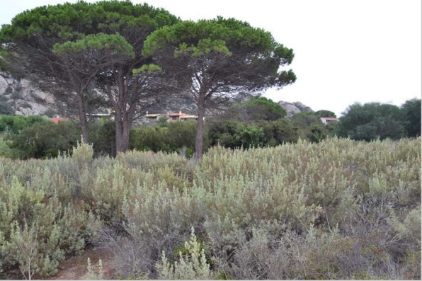 ARZACHENA (SS) – Cisterne di Cala Battistoni