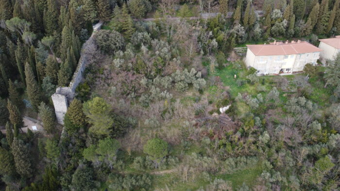 Todi (PG) – Parco degli Olivi della Consolazione