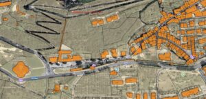 Todi (PG) – Parco degli Olivi della Consolazione Pianta principale