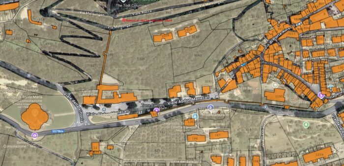 Todi (PG) – Parco degli Olivi della Consolazione Pianta principale