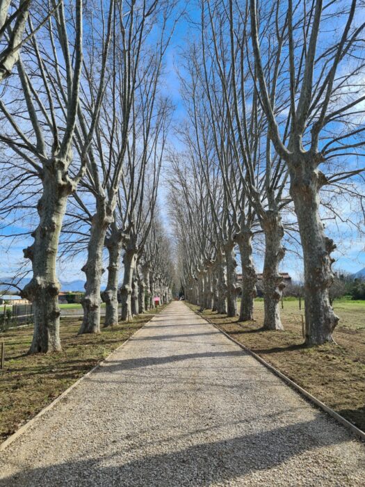 Scafati (SA) – Real Polverificio Borbonico