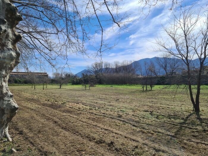 Scafati (SA) – Real Polverificio Borbonico