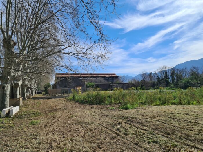 Scafati (SA) – Real Polverificio Borbonico