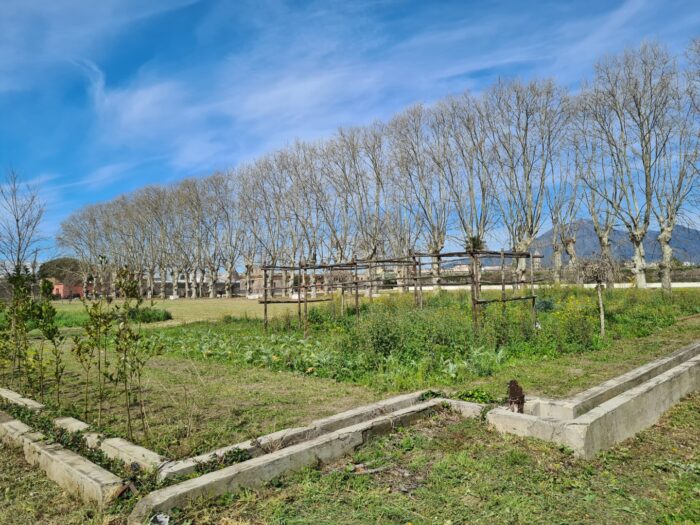 Scafati (SA) – Real Polverificio Borbonico