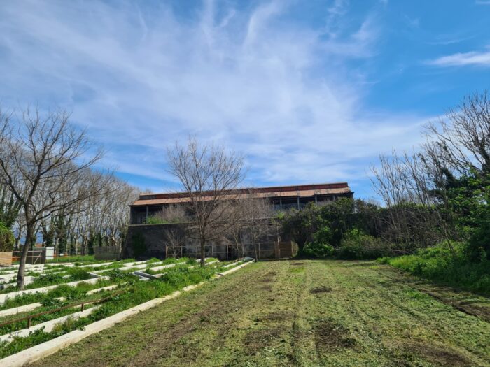 Scafati (SA) – Real Polverificio Borbonico