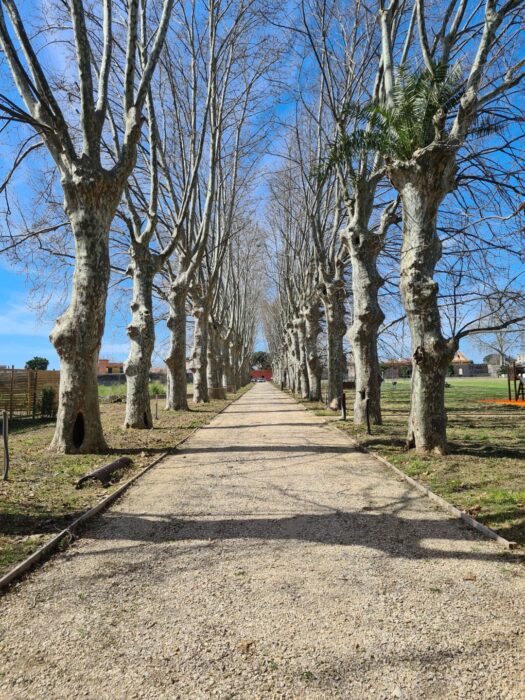 Scafati (SA) – Real Polverificio Borbonico