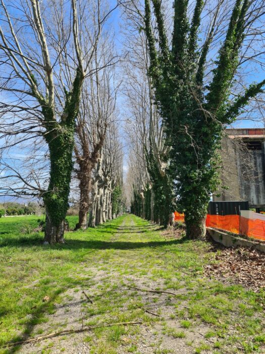 Scafati (SA) – Real Polverificio Borbonico