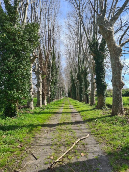 Scafati (SA) – Real Polverificio Borbonico