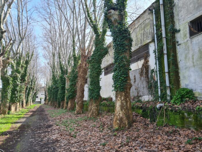 Scafati (SA) – Real Polverificio Borbonico