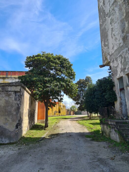 Scafati (SA) – Real Polverificio Borbonico