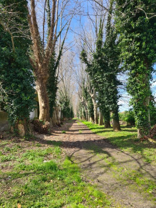 Scafati (SA) – Real Polverificio Borbonico