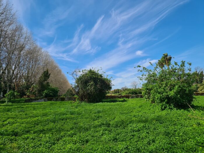 Scafati (SA) – Real Polverificio Borbonico