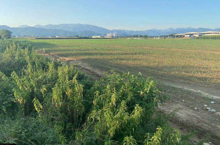 Suisio (BG) – Progetto A4 Lombardia