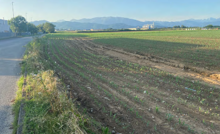 Suisio (BG) – Progetto A4 Lombardia