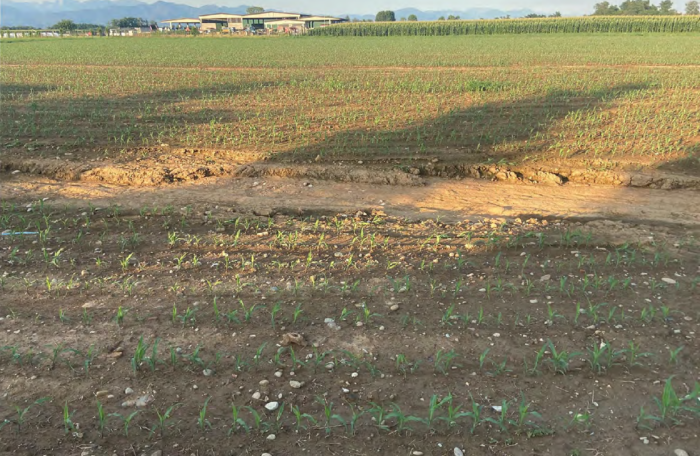 Suisio (BG) – Progetto A4 Lombardia