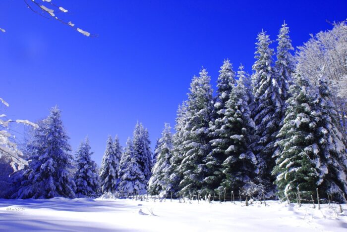 Casali del Manco / San Giovanni in Fiore / Spezzano della Sila (CS) – Cabinovia
