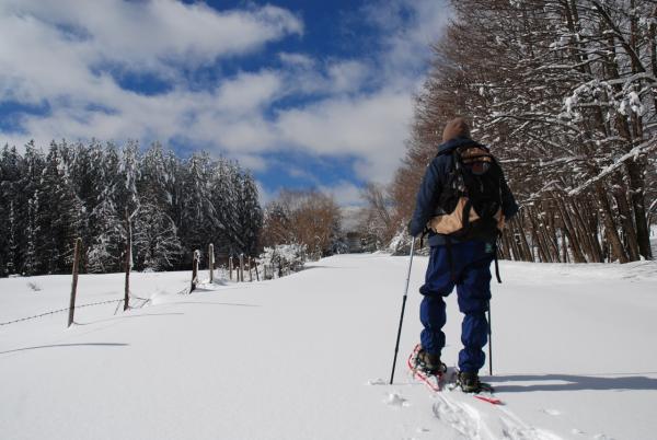 Casali del Manco / San Giovanni in Fiore / Spezzano della Sila (CS) – Cabinovia