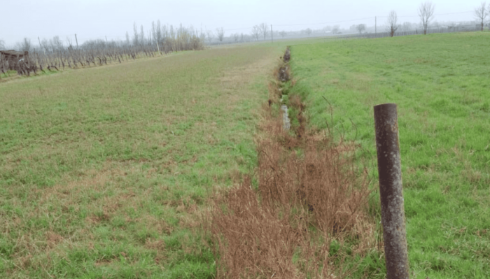 Santa Giuletta (PV) – Area ex Vinal ATP2