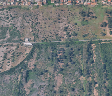 Rome (RM) – Land Plots in the Coccia di Morto Area (Temporary Use)